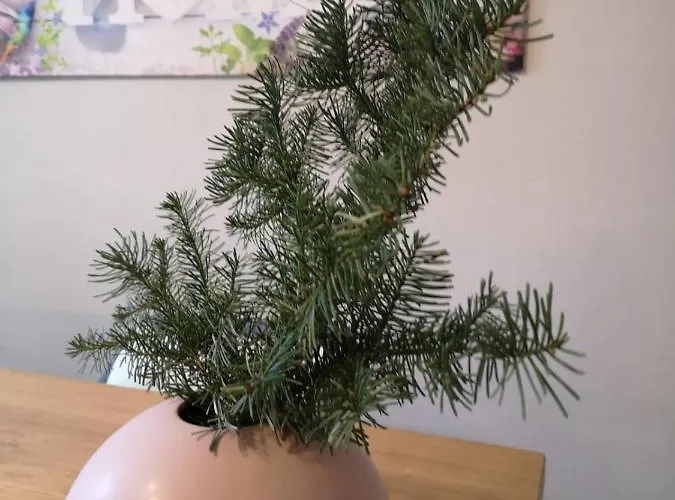 Denkmal Апартаменты *